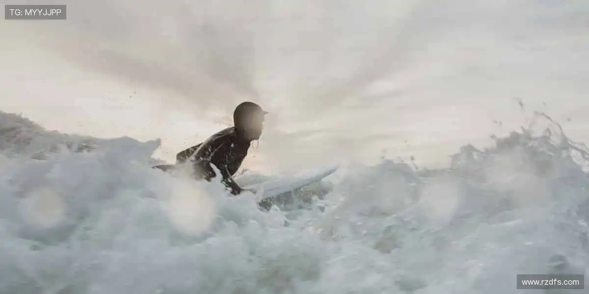 🌍全球体育，一网打尽！从赛场到生活，运动永不落幕✨